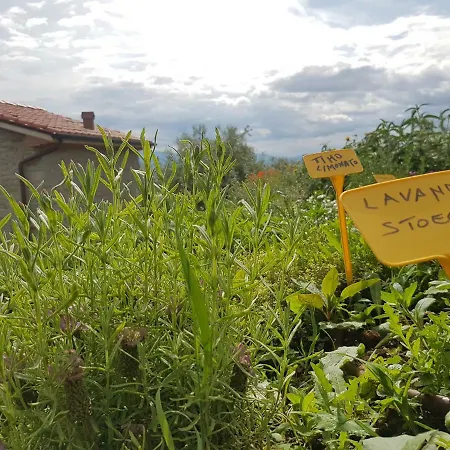 Il Fienile De La Cavallina *